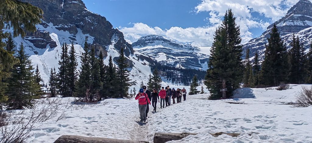 ROCKY MOUNTAIN EXPERTS img